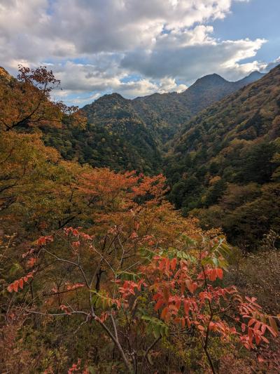 一ノ瀬高原