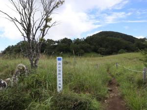 湯の沢峠のお花畑