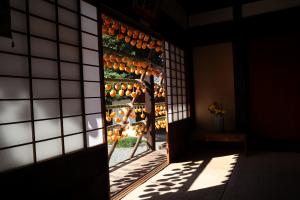 甘草屋敷の枯露柿