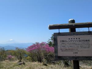 三窪のツツジ