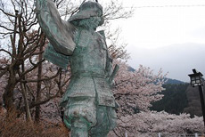 甲斐大和駅周辺の桜3