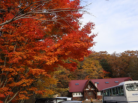 上日川峠（大菩薩）の紅葉1