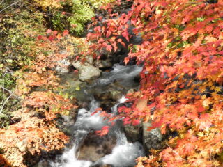 竜門峡の紅葉1