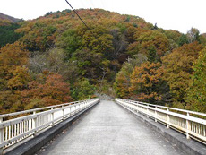 竜門峡の紅葉2