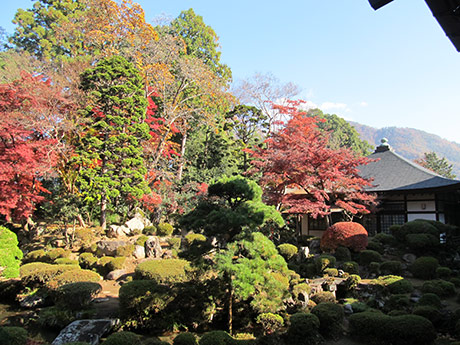 恵林寺の紅葉1