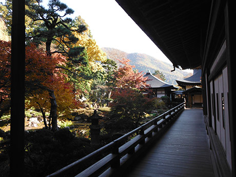 恵林寺の紅葉2