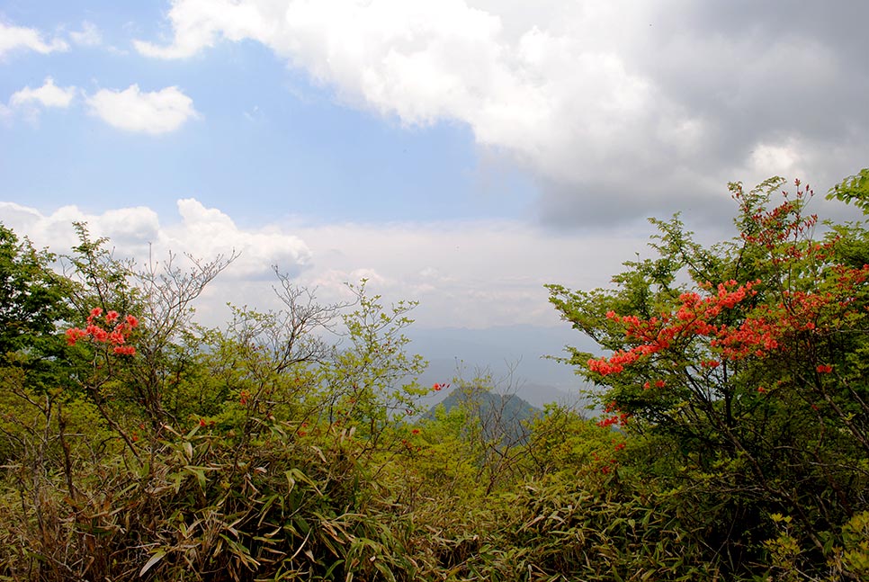 三窪高原