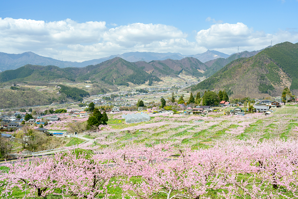 ようこそ甲州市へメインビジュアル