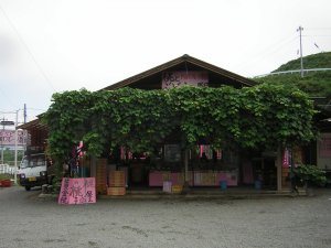 内田フルーツ農園