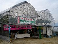 雨宮フルーツ農園