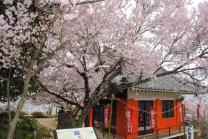 滝本院