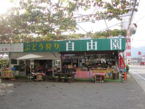 ぶどう狩りの自由園