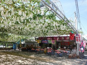 片田園