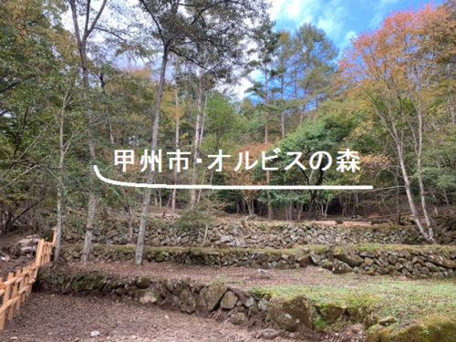 甲州市・オルビスの森の写真