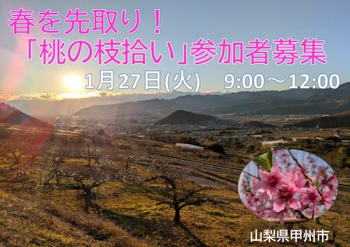 桃の枝拾い参加者募集