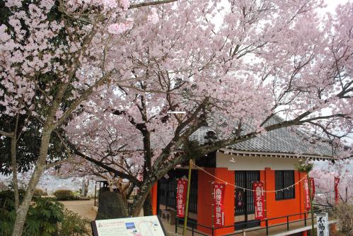 滝本院