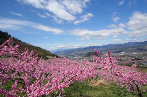 塩山桃源郷